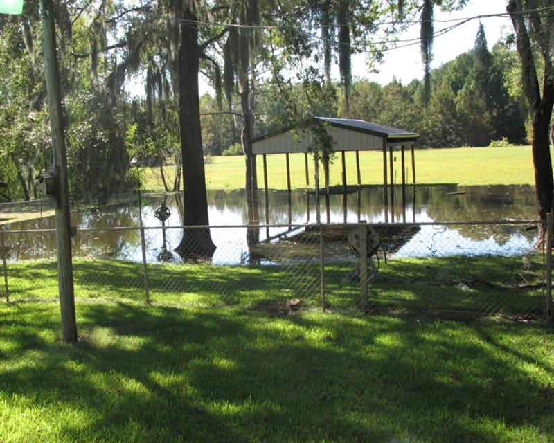 IMG_0371_1 (Medium).JPG