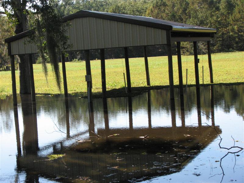 IMG_0375 (Medium).JPG