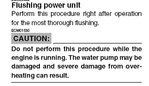 flushing to motor.gif