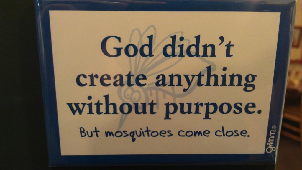 IMAG02931.jpg