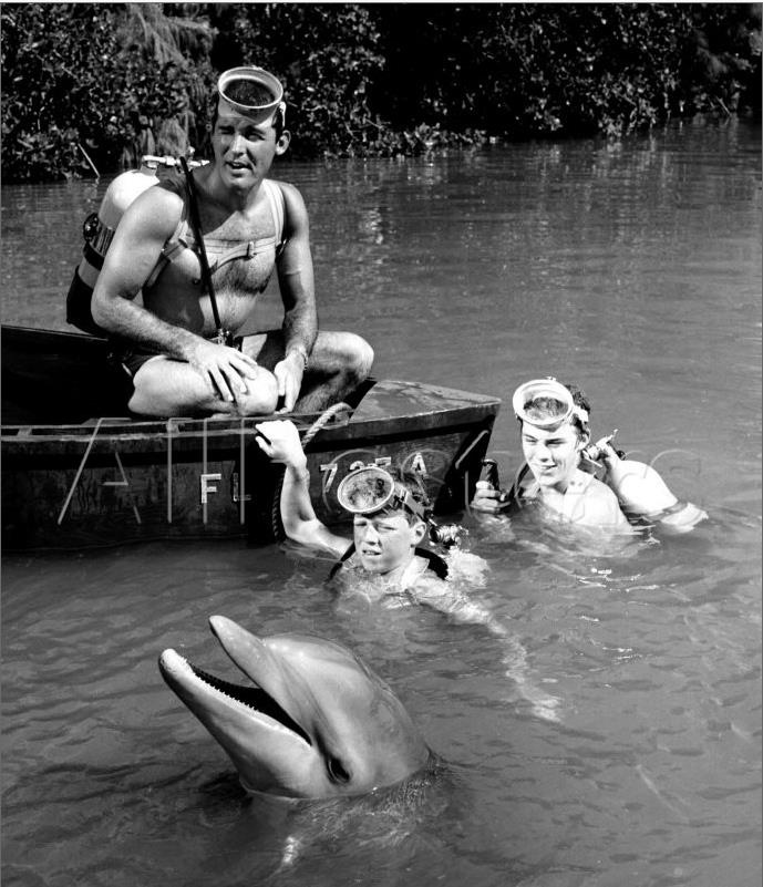flipper.jpg