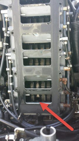 broken reed.jpg