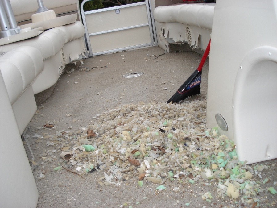 Boat Damage 009.jpg