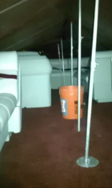 IMAG0457.jpg