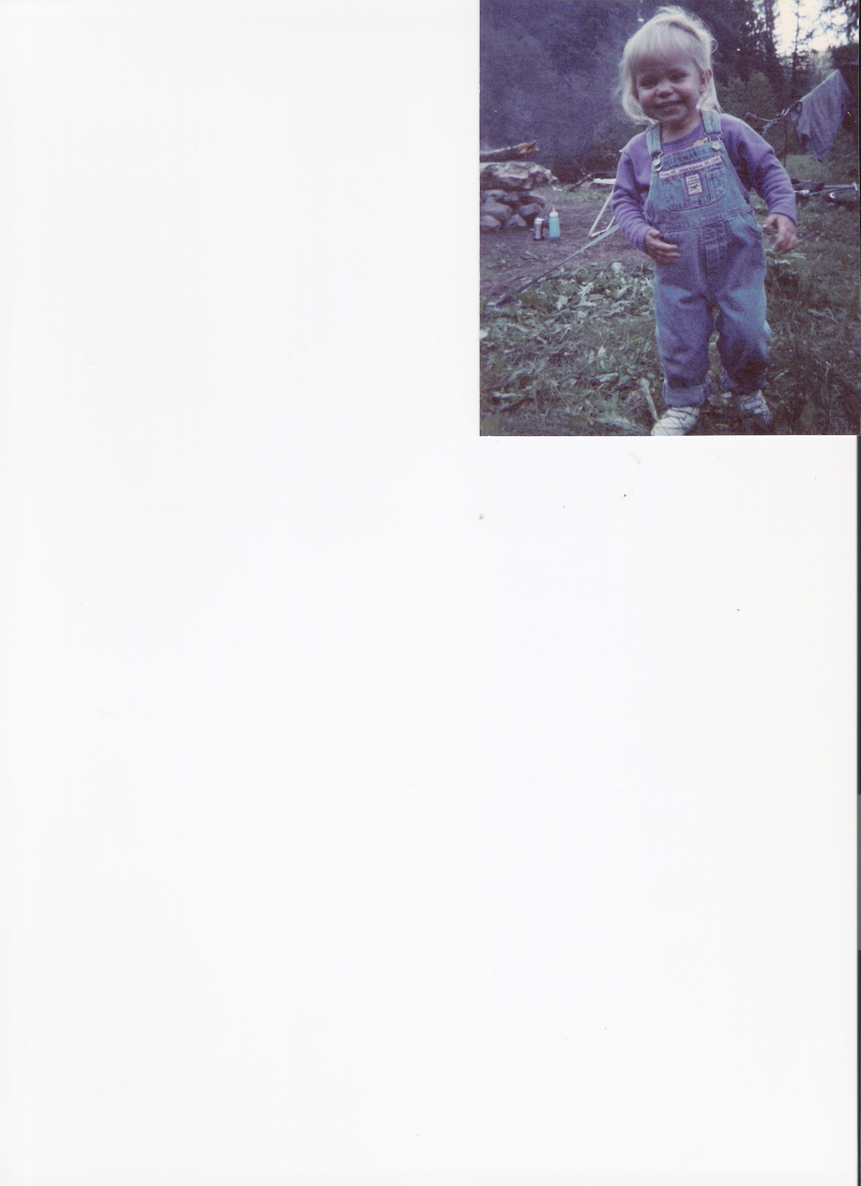 scan.jpg