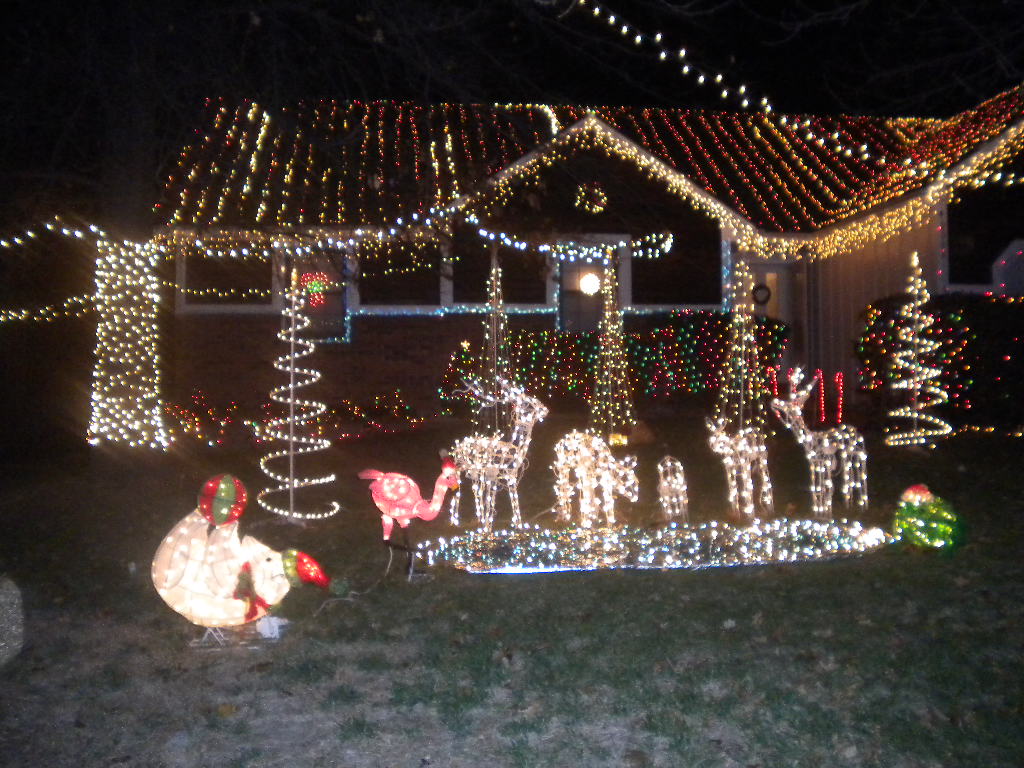 DSCN5250.JPG
