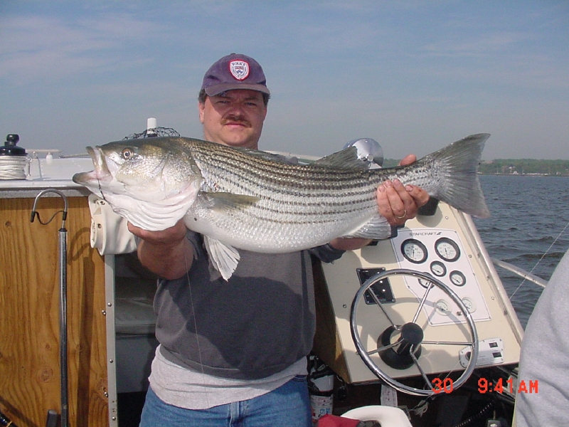 EdStriper4302004a.JPG